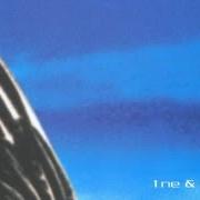 Il testo FALLEN ANGEL degli ALPHAVILLE è presente anche nell'album Dreamscapes - disc 1 (1999)