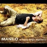 Il testo VOLVER di MANGO è presente anche nell'album La terra degli aquiloni (2011)