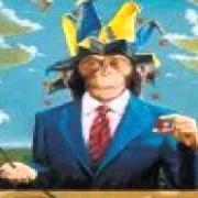 Il testo IL POSTO DELLE FRAGOLE di MARCO MASINI è presente anche nell'album Scimmie (1998)