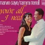 Il testo KEEP ON LOVIN' ME HONEY di MARVIN GAYE è presente anche nell'album You're all i need [with tammi terrell] (1968)