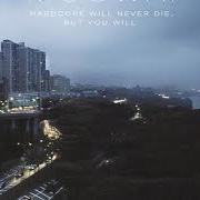 Il testo WHITE NOISE dei MOGWAI è presente anche nell'album Hardcore will never die, but you will (2011)