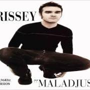 Il testo AMBITIOUS OUTSIDERS di MORRISSEY è presente anche nell'album Maladjusted (1997)