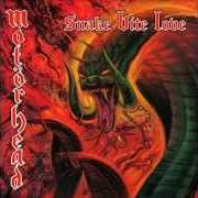 Il testo DESPERATE FOR YOU dei MOTORHEAD è presente anche nell'album Snake bite love (1998)