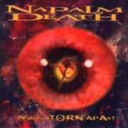 Il testo SECTION dei NAPALM DEATH è presente anche nell'album Inside the torn apart (1997)