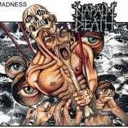 Il testo MASS APPEAL MADNESS dei NAPALM DEATH è presente anche nell'album Mass appeal madness (1991)