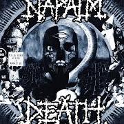 Il testo PERSONA NON GRATA dei NAPALM DEATH è presente anche nell'album Smear campaign (2006)