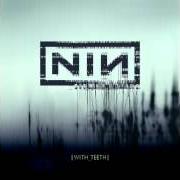 Il testo LOVE IS NOT ENOUGH dei NINE INCH NAILS è presente anche nell'album With teeth (2005)