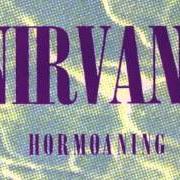 Il testo SON OF A GUN dei NIRVANA è presente anche nell'album Hormoaning (1992)