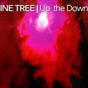 Il testo WHAT YOU ARE LISTENING TO... dei PORCUPINE TREE è presente anche nell'album Up the downstairs (1993)