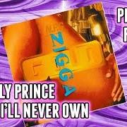 Il testo SEGUE di PRINCE è presente anche nell'album Goldnigga (1993)