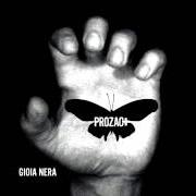 Il testo FAI DA TE dei PROZAC+ è presente anche nell'album Gioia nera (2004)