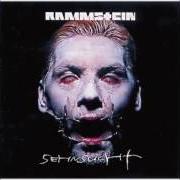 Il testo ENGEL dei RAMMSTEIN è presente anche nell'album Sehnsucht (1997)