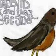 Il testo THERE WAS NO THIEF dei RELIENT K è presente anche nell'album The bird and the bee sides (2008)