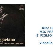 Il testo BERTA FILAVA di RINO GAETANO è presente anche nell'album Figlio unico (disc.1) (2007)