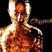 Il testo TRANCE SHAPES di ROBERT MILES è presente anche nell'album Organik (2001)