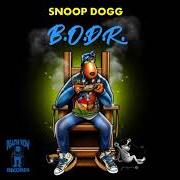 Il testo CATCH A VIBE di SNOOP DOGG è presente anche nell'album Bodr (2022)