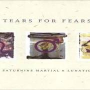 Il testo ALWAYS IN THE PAST dei TEARS FOR FEARS è presente anche nell'album Saturnine martial and lunatic (1996)