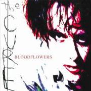 Il testo WATCHING ME FALL dei THE CURE è presente anche nell'album Bloodflowers (2000)