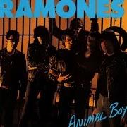 Il testo CRUMMY STUFF dei RAMONES è presente anche nell'album Animal boy (1986)