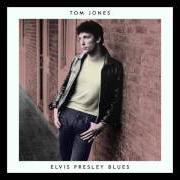 Il testo RAISE A RUCKUS (JESSE FULLER) di TOM JONES è presente anche nell'album Long lost suitcase (2015)