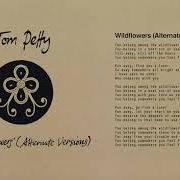 Il testo WILDFLOWERS (ALTERNATE VERSION) di TOM PETTY è presente anche nell'album Finding wildflowers (alternate versions) (2021)