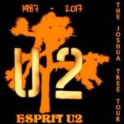 Il testo ONE TREE HILL degli U2 è presente anche nell'album The joshua tree (1987)