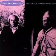 Il testo TIR NA NOG di VAN MORRISON è presente anche nell'album No guru, no method, no teacher (1986)