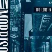 Il testo WASTED YEARS di VAN MORRISON è presente anche nell'album Too long in exile (1993)
