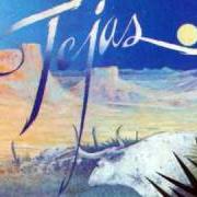 Il testo IT'S ONLY LOVE degli ZZ TOP è presente anche nell'album Tejas (1976)