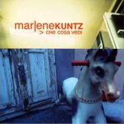 Il testo LA CANZONE CHE SCRIVO PER TE dei MARLENE KUNTZ è presente anche nell'album Che cosa vedi (2000)