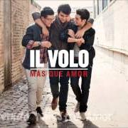 Il testo LUNA NASCOSTA de IL VOLO è presente anche nell'album We are love (2012)