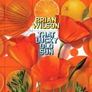 Il testo CALIFORNIA ROLE di BRIAN WILSON è presente anche nell'album That lucky old sun (2008)
