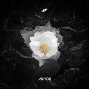 Il testo WHAT WOULD I CHANGE IT TO di AVICII è presente anche nell'album Avici (01) (2017)