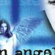 Il testo LA MIA DOLCE BAMBOLA di GIANNI CELESTE è presente anche nell'album Un angelo (2004)