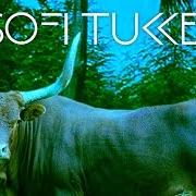 Il testo DRINKEE dei SOFI TUKKER è presente anche nell'album Soft animals (2016)