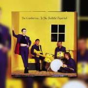 Il testo HOLLYWOOD dei THE CRANBERRIES è presente anche nell'album To the faithful departed (1995)