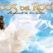 Il testo Y NO ME ESCRIBE degli ECOS DEL ROCÍO è presente anche nell'album Al compas del amor (2009)