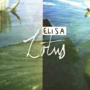 Il testo STRANGER di ELISA è presente anche nell'album Lotus (2003)
