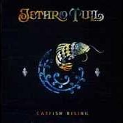 Il testo STILL LOVING YOU TONIGHT dei JETHRO TULL è presente anche nell'album Catfish rising (1991)
