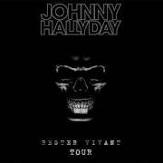 Il testo À NOS PROMESSES di JOHNNY HALLYDAY è presente anche nell'album Rester vivant (2014)