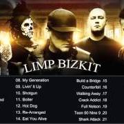 Il testo MY WAY dei LIMP BIZKIT è presente anche nell'album Greatest hits (2005)