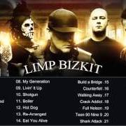 Il testo MY GENERATION dei LIMP BIZKIT è presente anche nell'album Greatest hits (2005)