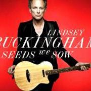 Il testo SHE SMILED SWEETLY di LINDSEY BUCKINGHAM è presente anche nell'album Seeds we sow (2011)