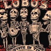 Il testo VOLVER, VOLVER dei LOS LOBOS è presente anche nell'album Acoustic en vivo (2005)