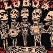 Il testo LA PISTOLA Y EL CORAZON dei LOS LOBOS è presente anche nell'album Acoustic en vivo (2005)