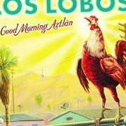 Il testo LUZ DE MI VIDA dei LOS LOBOS è presente anche nell'album Good morning aztlan (2002)