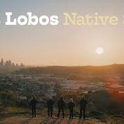 Il testo LOVE SPECIAL DELIVERY dei LOS LOBOS è presente anche nell'album Native sons (2021)
