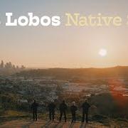 Native sons