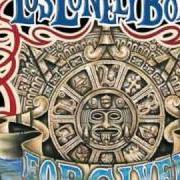 Il testo CRUEL dei LOS LONELY BOYS è presente anche nell'album Forgiven (2008)