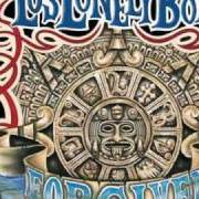 Il testo LOVING YOU ALWAYS dei LOS LONELY BOYS è presente anche nell'album Forgiven (2008)